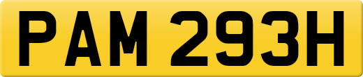 PAM293H