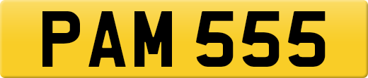 PAM555