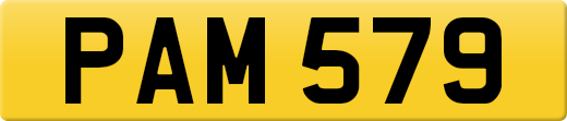 PAM579