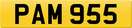 PAM955