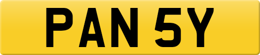 PAN5Y