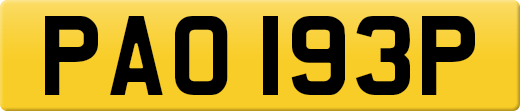 PAO193P