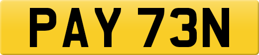 PAY73N