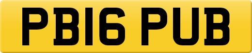 PB16PUB