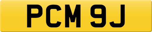 PCM9J