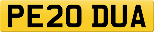 PE20DUA