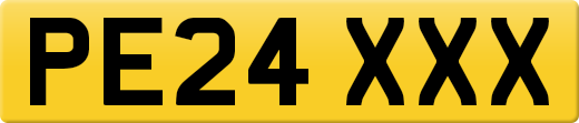 PE24XXX
