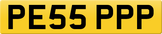 PE55PPP