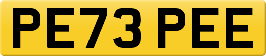 PE73PEE