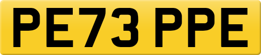 PE73PPE