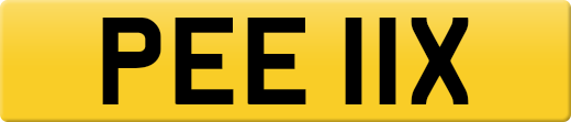 PEE11X
