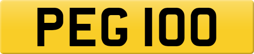 PEG100