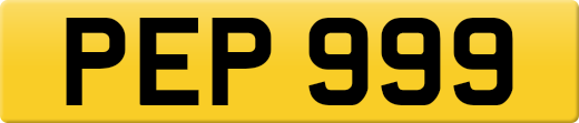 PEP999