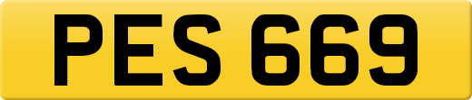 PES669
