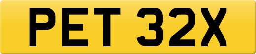 PET32X