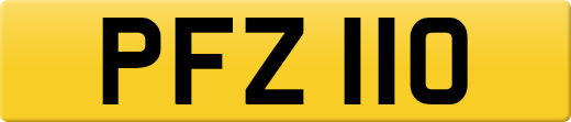 PFZ110