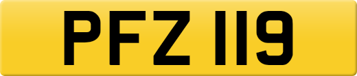 PFZ119