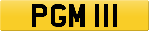 PGM111