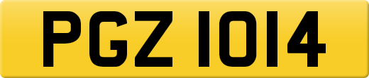 PGZ1014