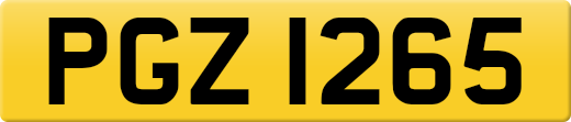 PGZ1265