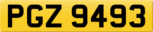 PGZ9493