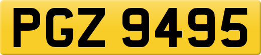 PGZ9495