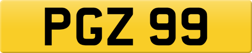 PGZ99