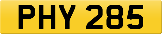 PHY285