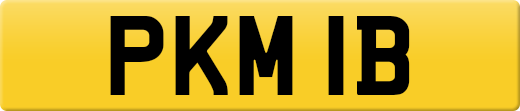 PKM1B