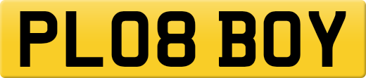 PL08BOY