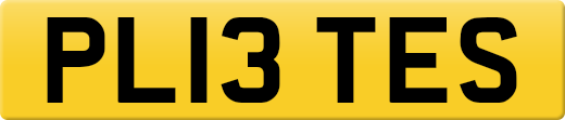 PL13TES