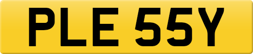 PLE55Y