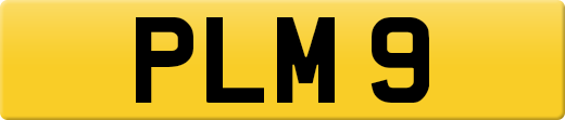 PLM9