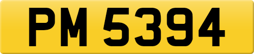 PM5394
