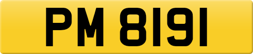 PM8191