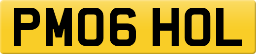 PM06HOL