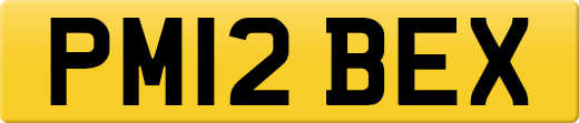 PM12BEX