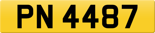 PN4487