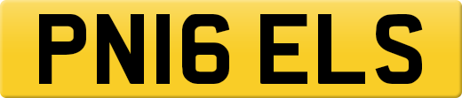 PN16ELS