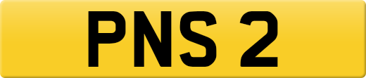 PNS2