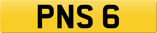 PNS6