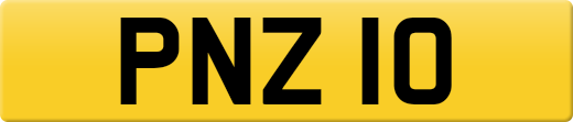 PNZ10