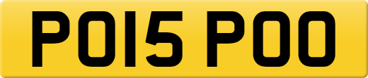 PO15POO