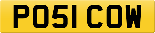 PO51COW