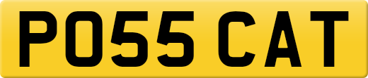 PO55CAT