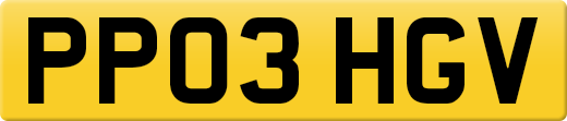 PP03HGV