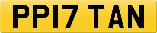 PP17TAN