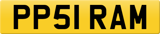 PP51RAM