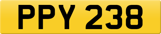 PPY238