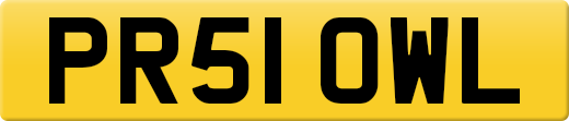 PR51OWL